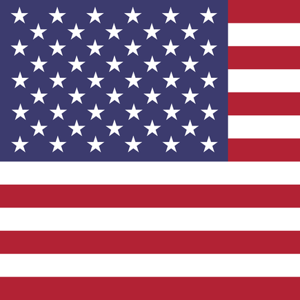 USA Logo